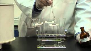 Ninhydrins test Part 2 Identification of Proteins or Amino Acids [upl. by Htenek]