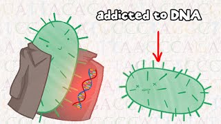 Can Bacteria Experience Addiction [upl. by Malilliw348]