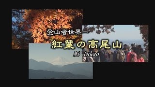 登山者世界一 紅葉の高尾山 [upl. by Gaelan859]