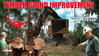 Timber Stand Improvement Part 1  Shelterwood vs Clearcut 47 Acres CUT  The Offseason S3 [upl. by Gatias56]