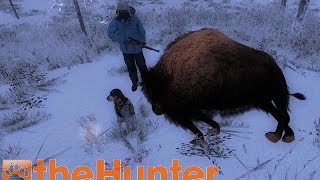 the Hunter  Scent Hound Release Mission The Bison [upl. by Follmer]