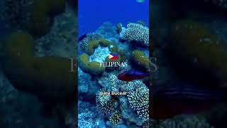 FILIPINAS viaje por el mundo 🛫🌍😊❤️ destinosdelmundo viajes travelparatifypfyturismoviajar [upl. by Rez838]