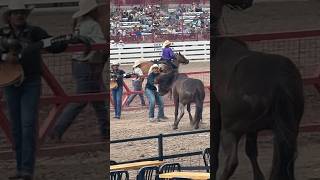 Wild Horse Races Cheyenne Frontier Days Rodeo rodeo 🤠 Cowboy wrangled Horses Running cheyenne [upl. by Mohamed]