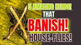 5 Amazing Herbs that BANISH HOUSE FLIESNaturalFlyRepellentHerbalSolutionsFlyFreeHome [upl. by Abbye623]