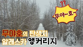 세계테마기행  무야호 탄생지 알래스카 앵커리지 명소 [upl. by Hairam]