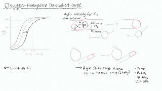 Pulmonary Gas Exchange 4  Hypoxemia vs Hypoxia OxygenHemoglobin dissociation curve [upl. by Alakim]