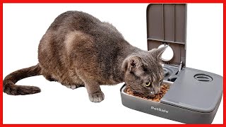 PetSafe Analog 2 Meal Programmable Pet Feeder Automatic Dog and Cat Feeder  Dry or SemiMoist Pet [upl. by Towbin]