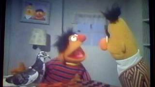 Bert and Ernie Bert teaches pigeon to play checkers [upl. by Ellard]