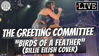 The Greeting Committee quotBIRDS OF A FEATHERquot Billie Eilish Cover LIVE [upl. by Lovel]