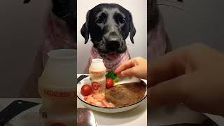 Dogy eating dog mukbang eating cute cutebabyeating [upl. by Urbas]