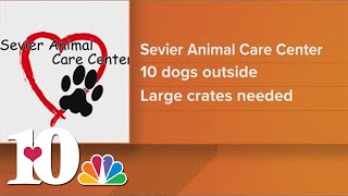 Sevier Animal Care Center asks for help in getting dogs to safety due to weather [upl. by Peterman]