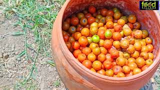 ACHARA RECIPE BARAKOLI ACHARA How to make berry pickle [upl. by Lamrouex]