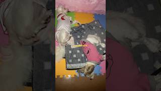 Lally and Khyle’s sleeping position  September 8 2024  1024pm españababies lally khyle sleep [upl. by Akihc]