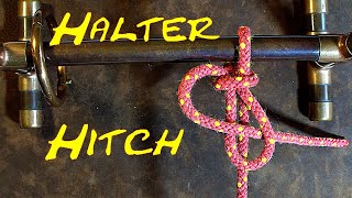 How to Tie the Halter Hitch [upl. by Lorita]