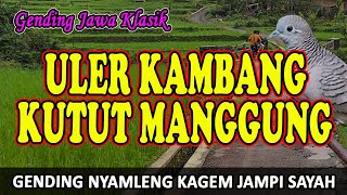 Gending Jawa Klasik Uler Kambang Kutut Manggung  Uyon uyon Gending Kagem Jampi Sayah [upl. by Yde338]