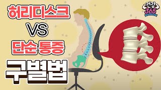 허리디스크 vs 단순 통증 구별법  YTN 라이프 [upl. by Ricky436]