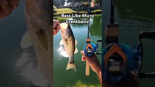 Bass Are Liking Micro Crankbaits Too bassfishing bfsfishing ultralightfishing [upl. by Roman]