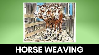 Horse Weaving  Example [upl. by Alrak]