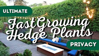 Hedge Magic✨ Top 7 FastGrowing Plants for a Stunning Hedge 🌲 🌳 [upl. by Jak]