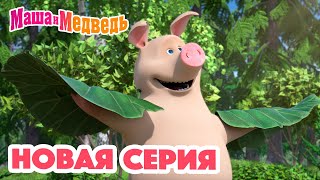 Маша и Медведь 💥 НОВАЯ СЕРИЯ 💥 Мечтать полезно 🐷💭 Коллекция мультиков для детей про Машу [upl. by Casady]