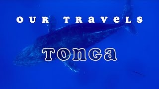 Explore Tonga 4K [upl. by Dnomrej]