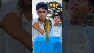 Vindu ko Marne ki koshish 😮😱😨shortsfeed funny [upl. by Bensen]