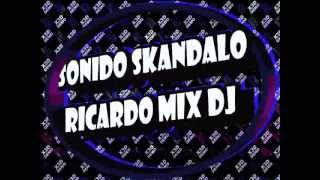 ZAPATEADO MIX Dj Rickardo Mix [upl. by Maurili]