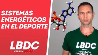 Sistemas energéticos en el deporte [upl. by Strickler]