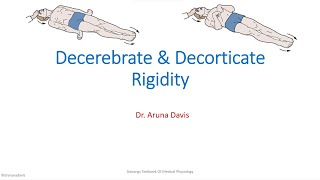 Decrebrate amp Decorticate Rigidity [upl. by Post637]