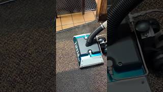 Cutting Grease from Carpet in ONE Pass carpetcleaning cleaningexperts ZipperWand SaigersCodeRed [upl. by Eigger]