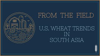 US Wheat Trends in South Asia [upl. by Elag]