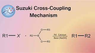 Suzuki CrossCoupling Mechanism  Organic Chemistry [upl. by O'Donovan]