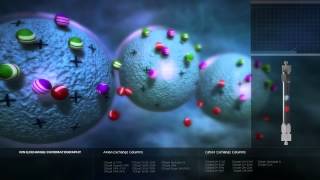 Ion Exchange Chromatography [upl. by Haisej]