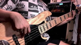 Lakland Darryl Jones Dj5 Audere Jazz preamp [upl. by Kendrah]