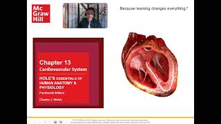 Ch 13 Cardiovascular System Layers of the Heart [upl. by Adnawaj]