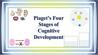 Piaget’s Four Stages of Cognitive Development [upl. by Erny]