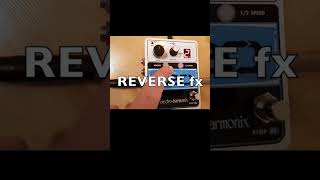 720 Looper Use quotREVERSEquot  Electro Harmonix [upl. by Eseela]