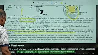 माइटोकॉन्ड्रिया और झिल्ली amp Mitochondria amp Membranes CSIR NET Lifescience by Harcharan Sir [upl. by Aikimat282]