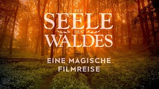 Die Seele des Waldes  im Kino [upl. by Shapiro246]