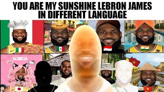 You are my sunshine Lebron James meme in different version 2 [upl. by Oer]