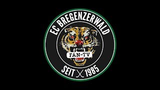 Alps Hockey League 2018 EC Bregenzerwald gegen HC Gherdeina [upl. by Neila]