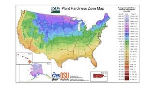 Plant Hardiness Zones  From the Ground Up [upl. by Rhodia]