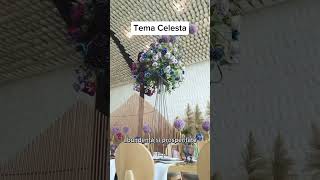 Tema Celesta dariaspecial evenimente organizator florist geniusmedia [upl. by Ruth146]