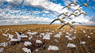 2 MAN SOCK SPREAD SNOW GOOSE HUNT IN CANADA [upl. by Halik]