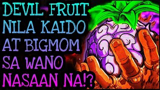 DEVIL FRUITS SA WANO KUKUNIN NI BLACKBEARD  One Piece Tagalog Analysis [upl. by Cohen]