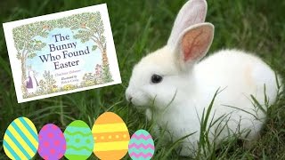 The Bunny Who Found Easter Book by Charlotte Zolotow  Stories for Kids  Childrens Books [upl. by Rosse]