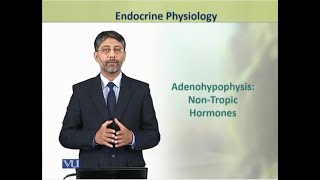 Adenohypophysis NonTropic Hormones  Physiology Theory  ZOO519TTopic049 [upl. by Yentruocal]