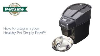 How To Program your PetSafe® Healthy Pet Simply Feed™ [upl. by Barnaba]