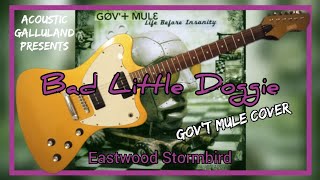 Govt Mule Bad Little Doggie Cover Eastwood Stormbird [upl. by Nnaecyoj]