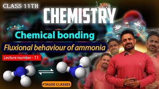 FLUXIONAL BEHAVIOU OF AMMONIA [upl. by Tertia]